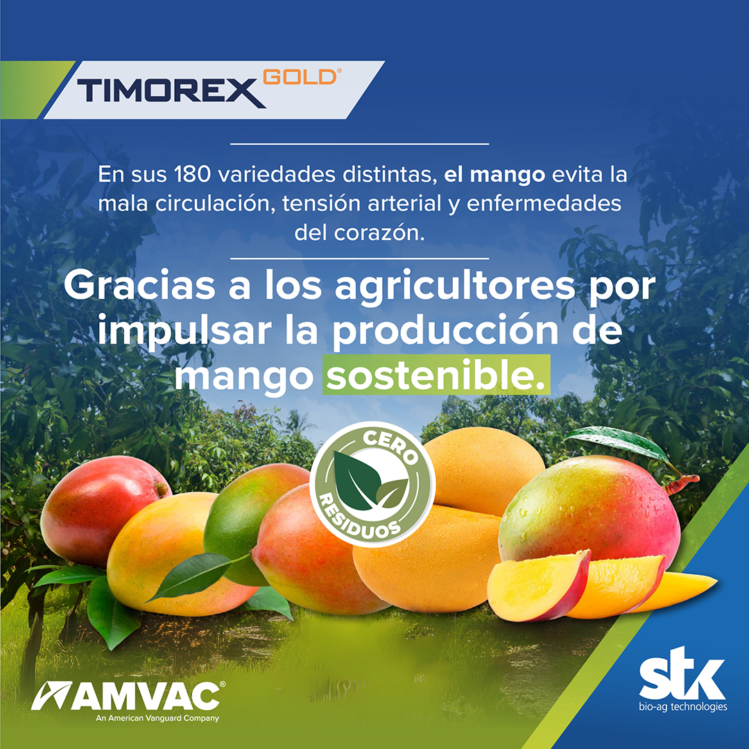 posts tg mango adicionales 1