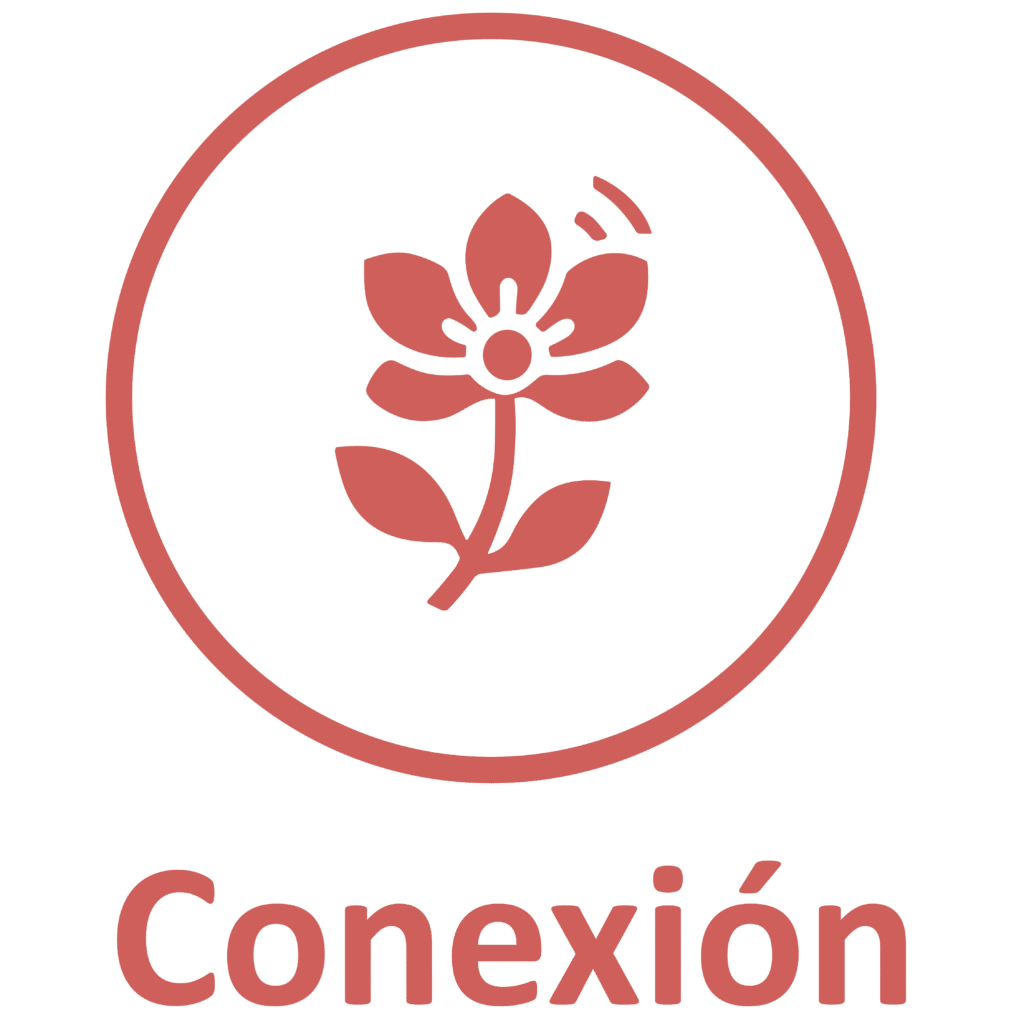 icon conexion
