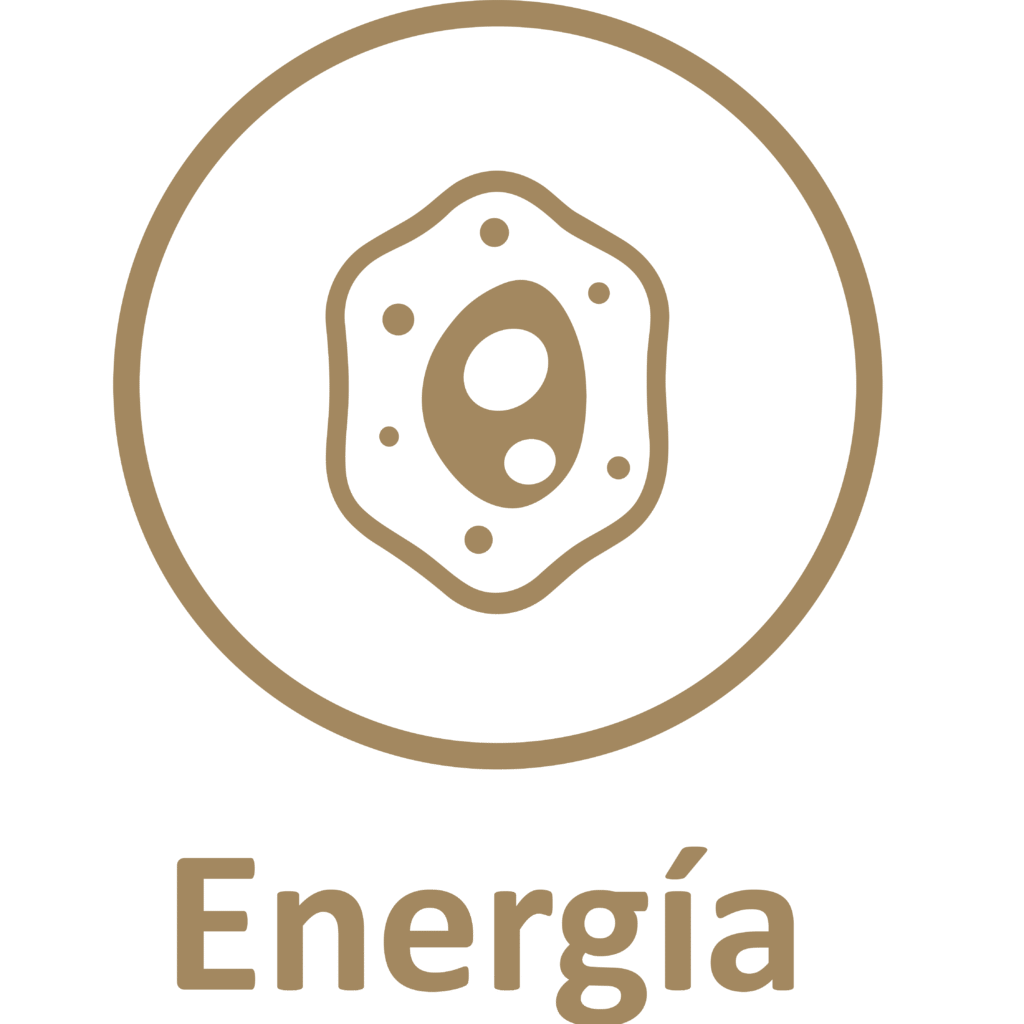 icon energia