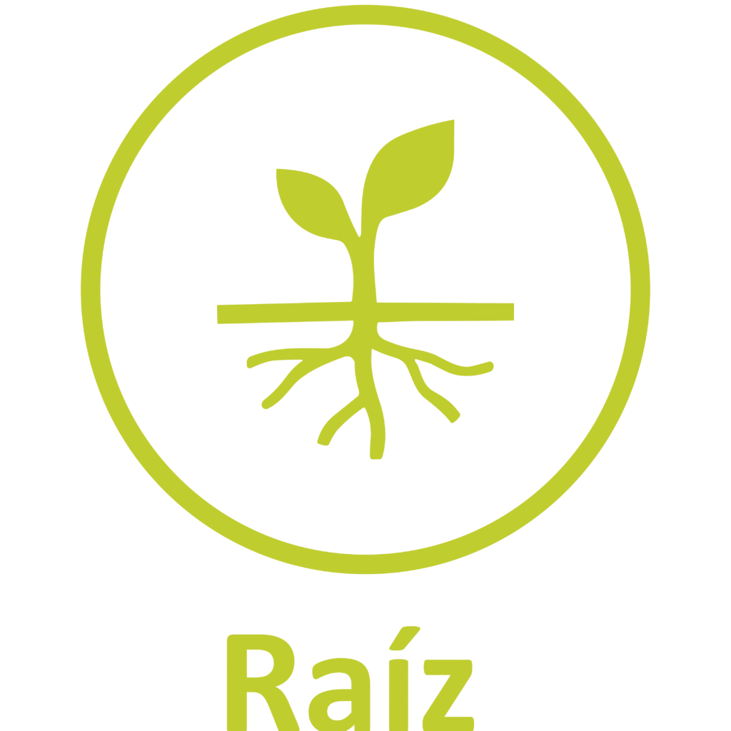 icon raiz