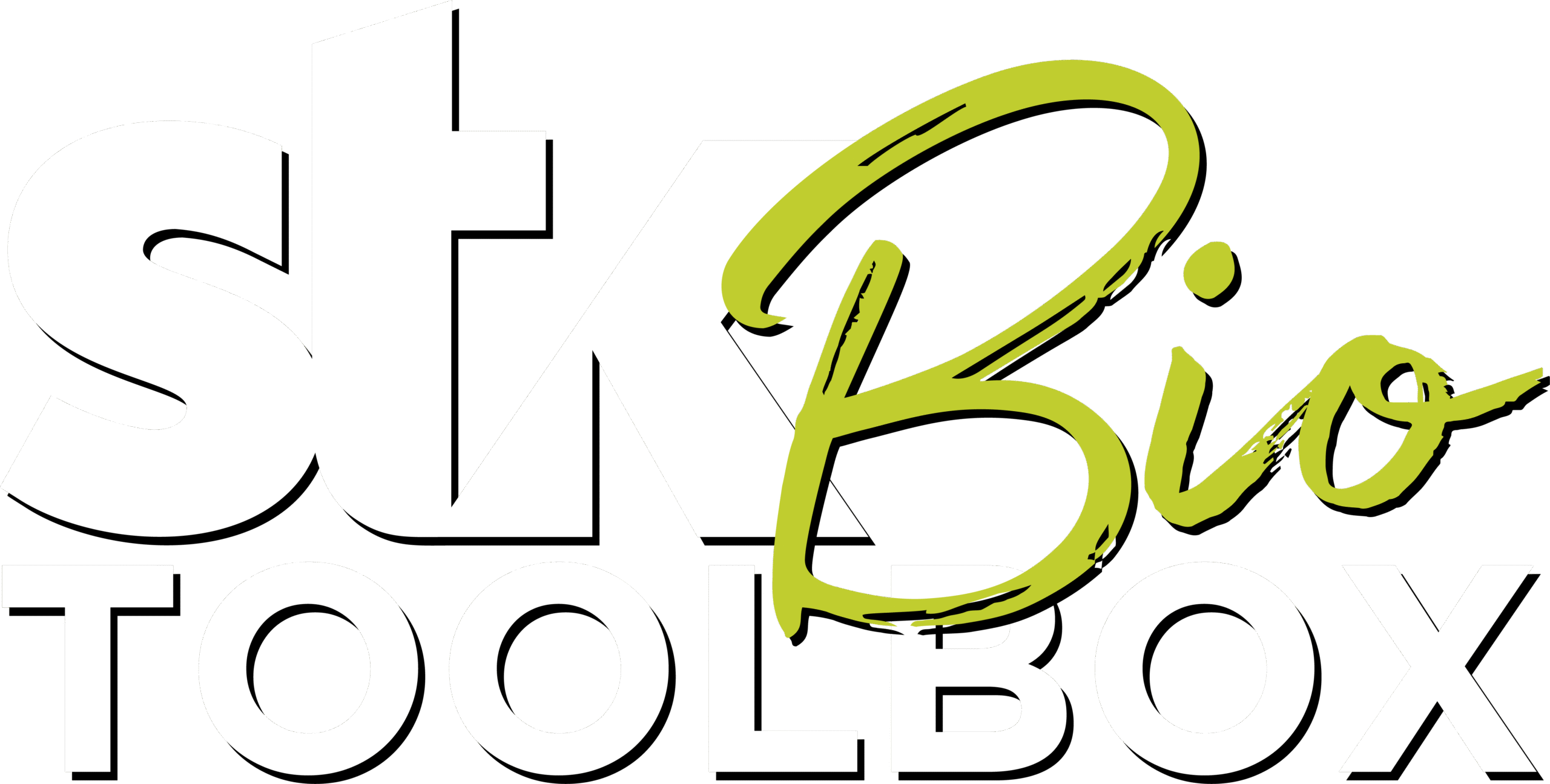 logo stk box